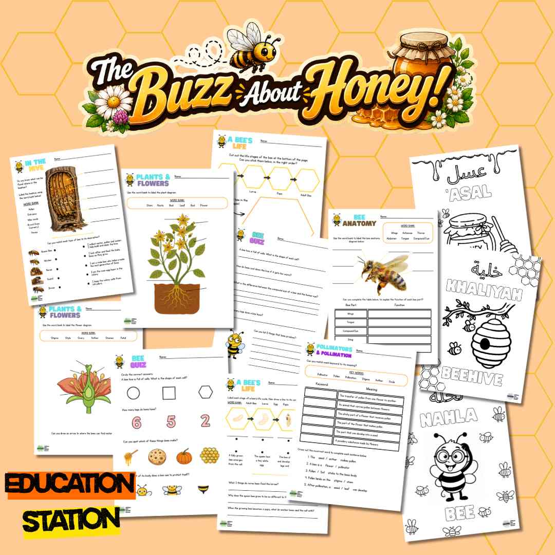Under the Summer Sun: Week 1 - The Buzz About Honey!