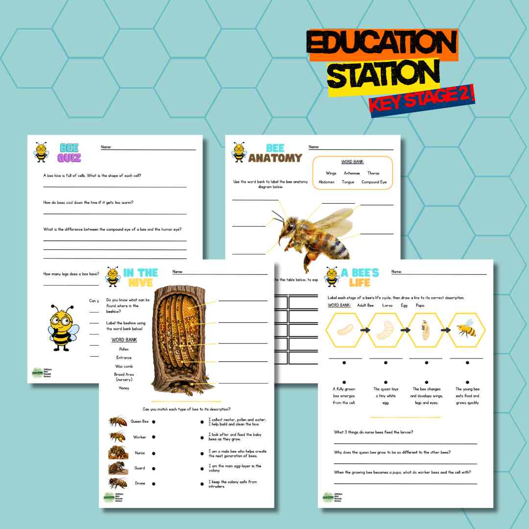 Under the Summer Sun: Week 1 - The Buzz About Honey!