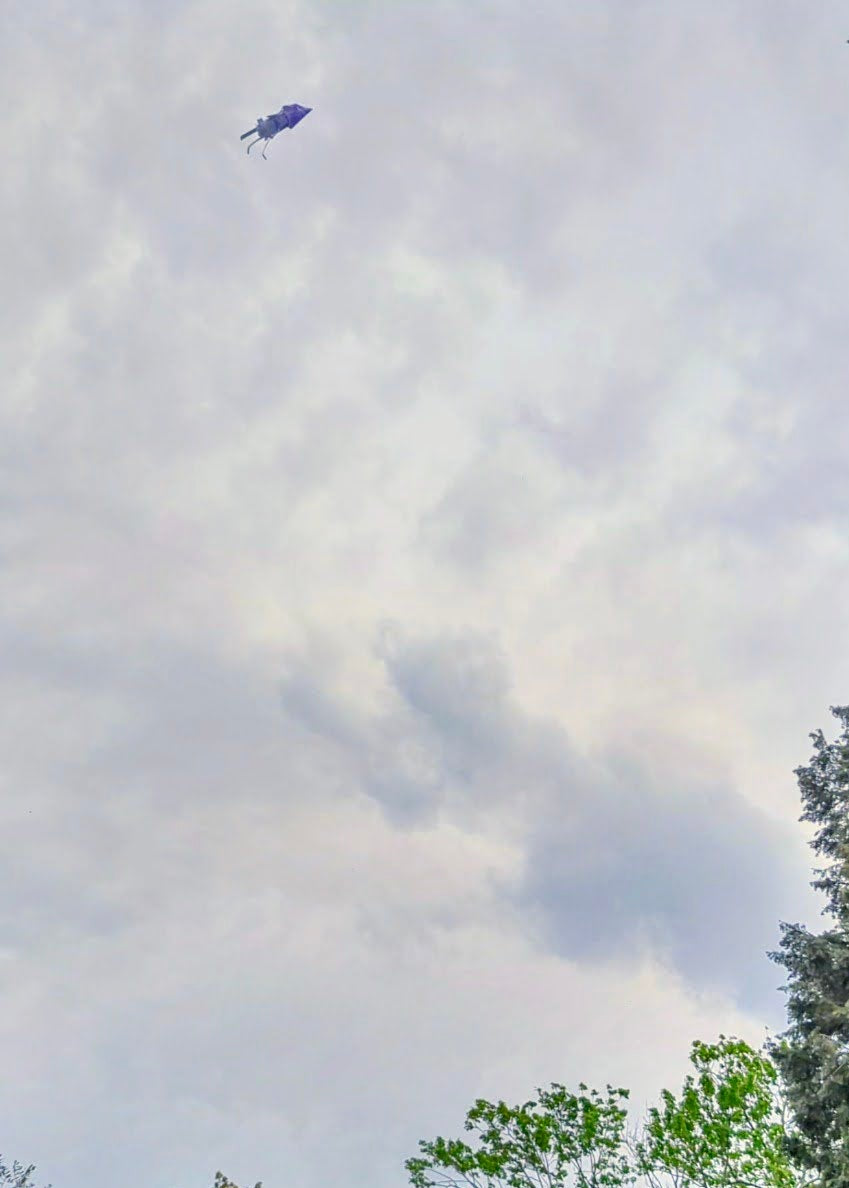 Kite flying over a park with trees and a basketball hoop in the background.