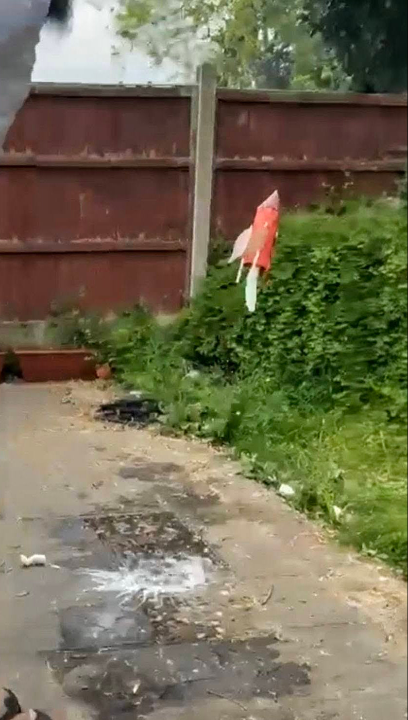 Person standing on a path with a red object in the grass.