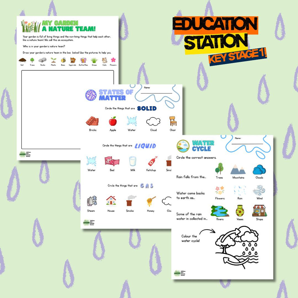 Under the Summer Sun - States that Matter - Educational Resources for Muslim Home Educators