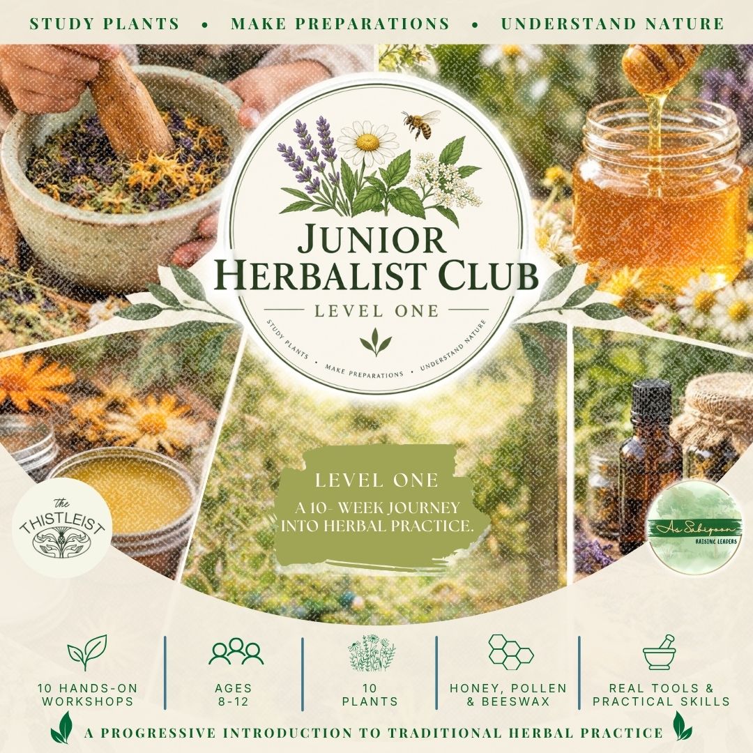 Junior Herbalist Club | Level One | 10 workshops | Ages 8–12 | Home Education